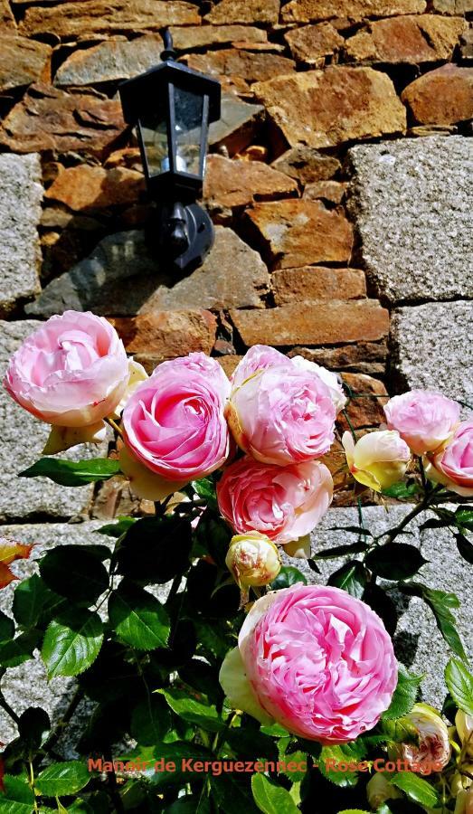Rose Cottage Pontrieux 외부 사진