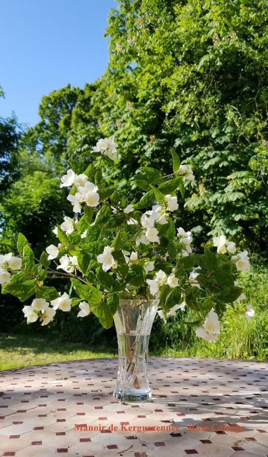 Rose Cottage Pontrieux 외부 사진